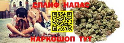 сатива Дубна